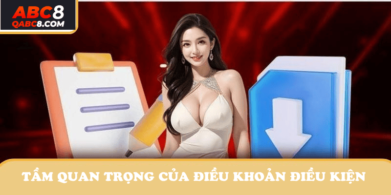 Tầm quan trọng của điều khoản điều kiện ABC8